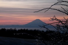 ice   - fuji san