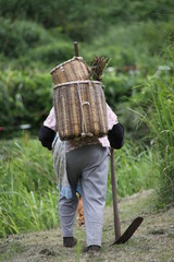 passeio ----------- 089