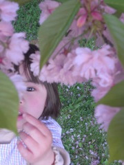 桜見上げる娘