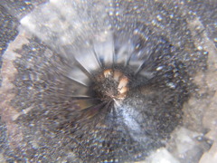 ダイヤモンド？