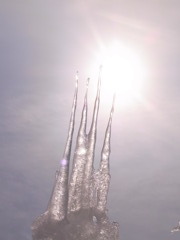 逆さ氷柱