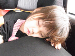 夏バテ