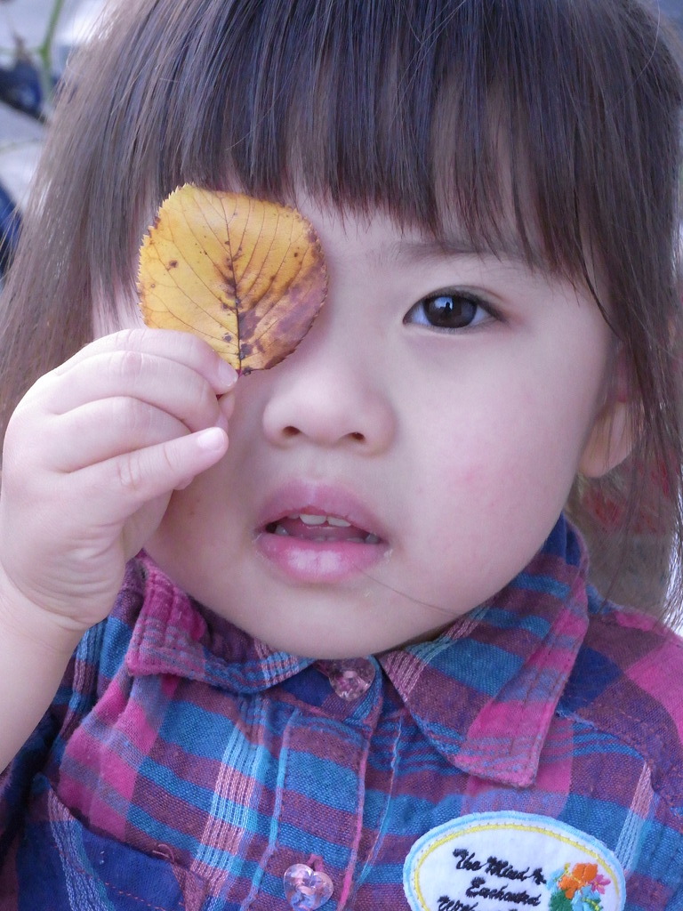 小さい秋見つけた