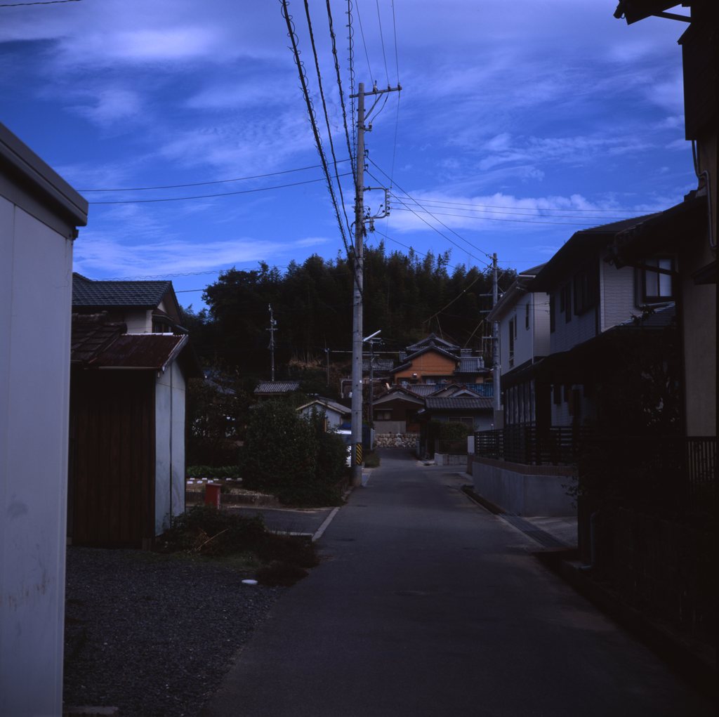 裏山への散歩道