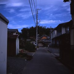 裏山への散歩道