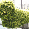 なにかに見える