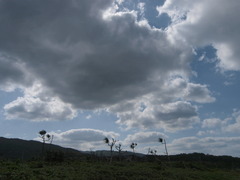 P3250565