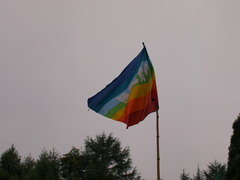 P7261848