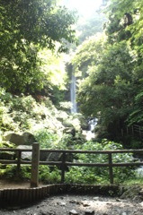養老の滝