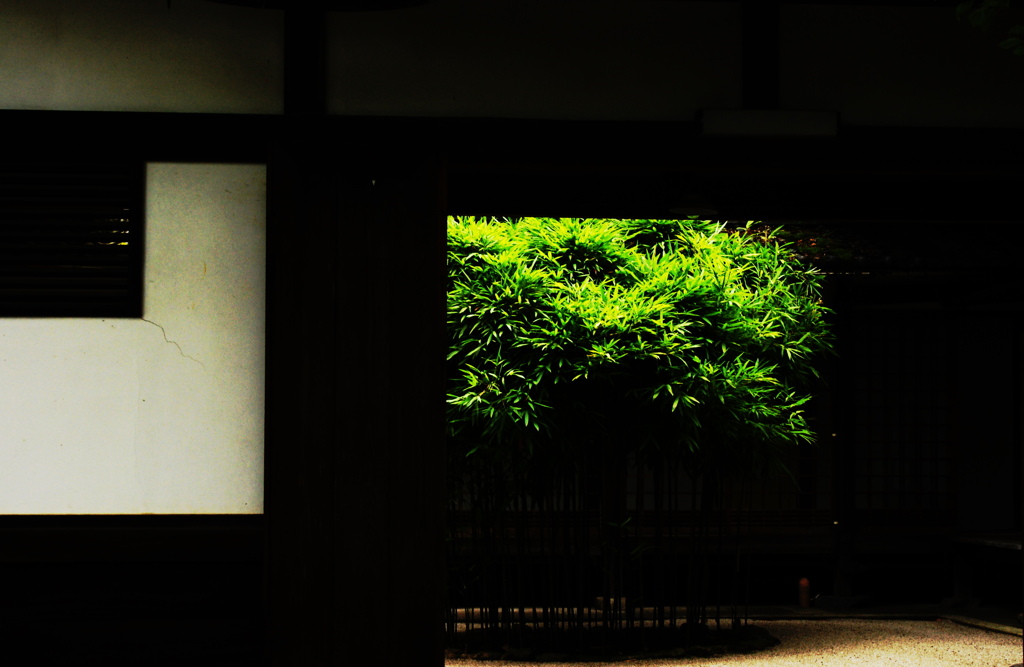 JAPANESE BEAUTY 