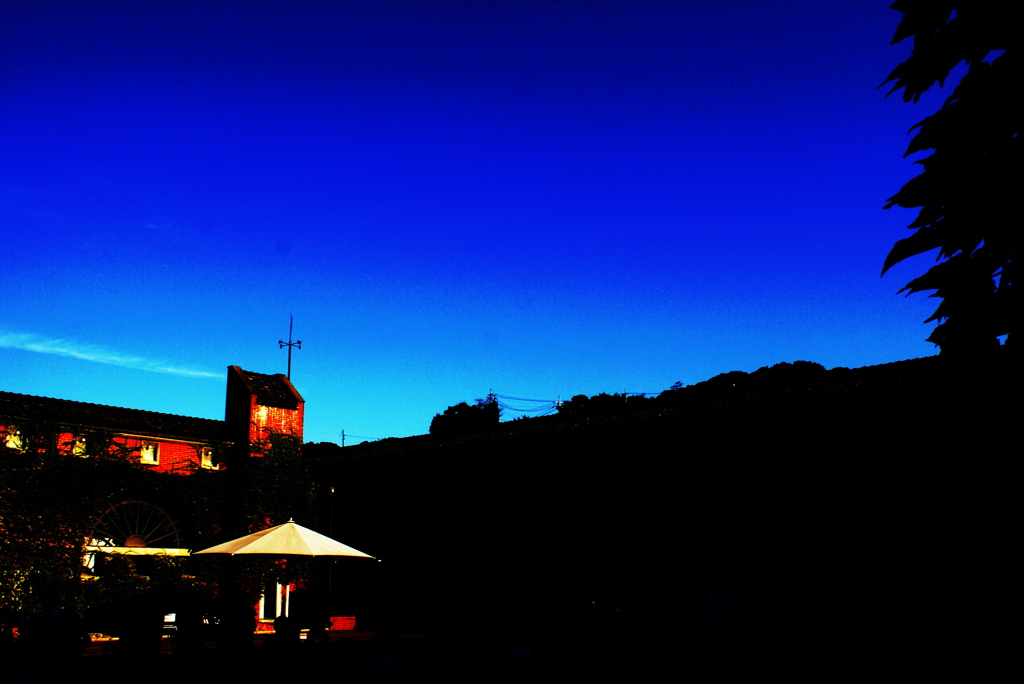 Blue & Roof