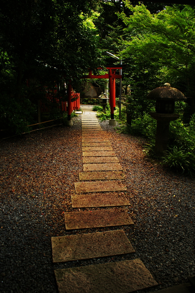 茜道