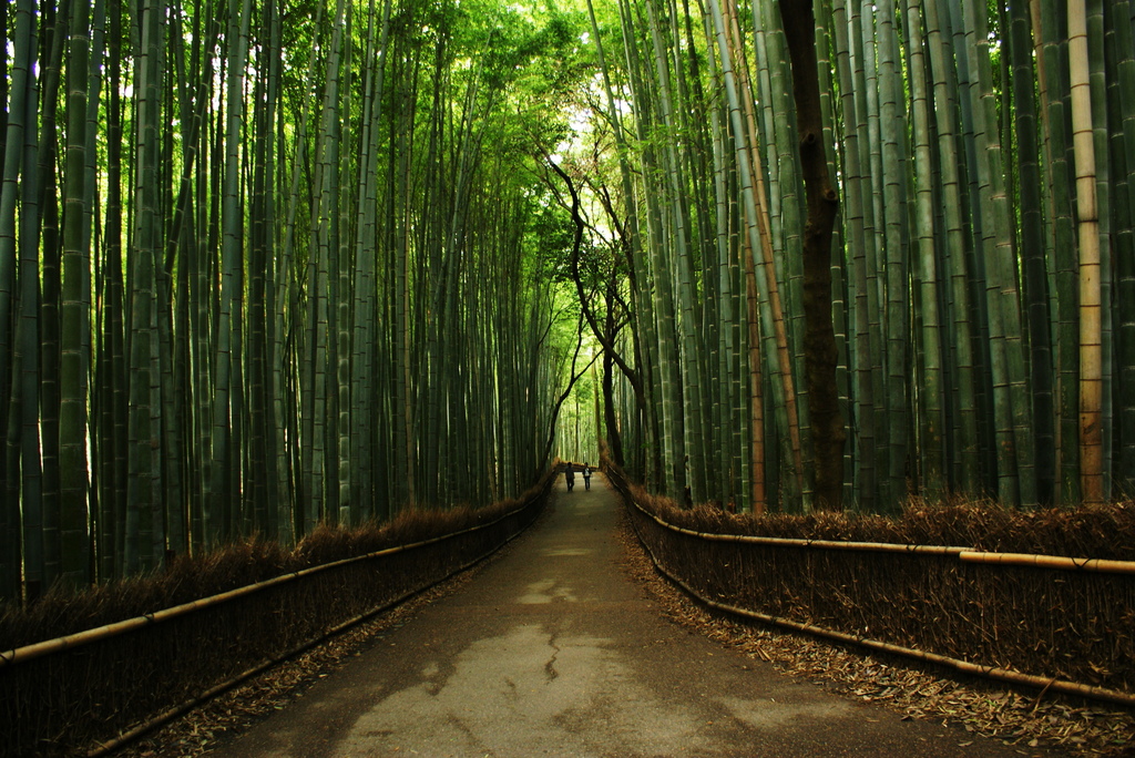 The Prisoners of BAMBOO