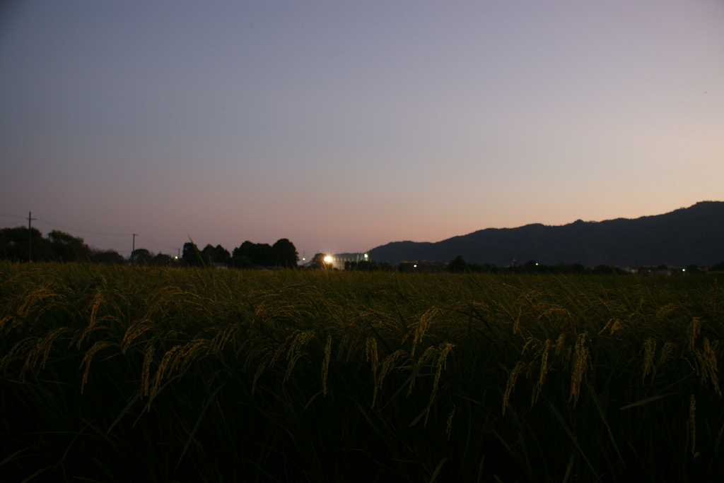 グランドと田園