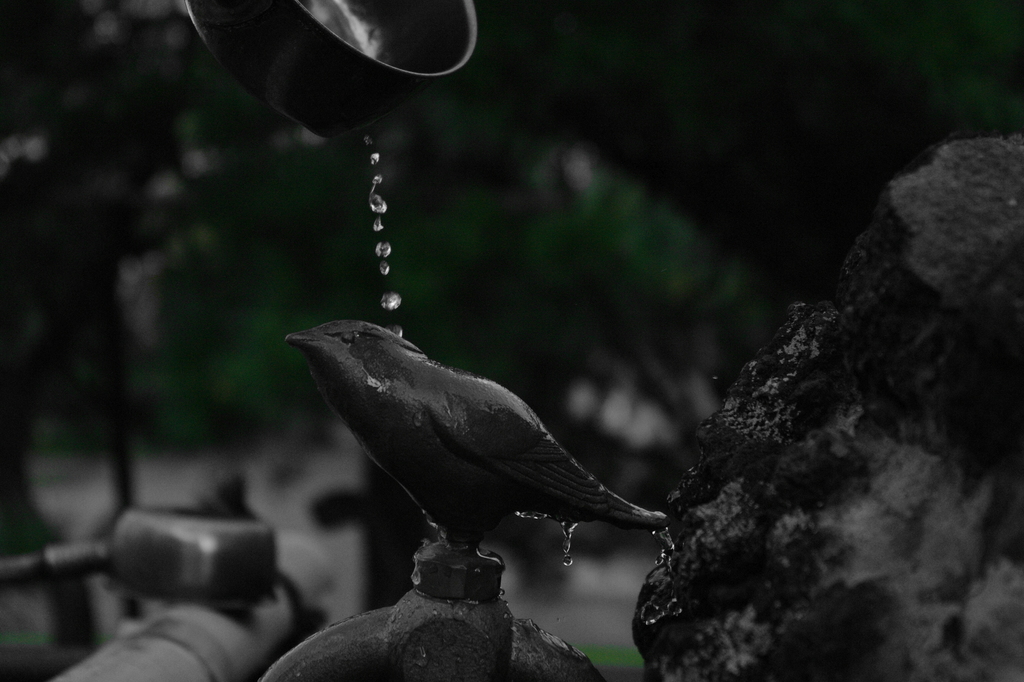 神鳥の参拝