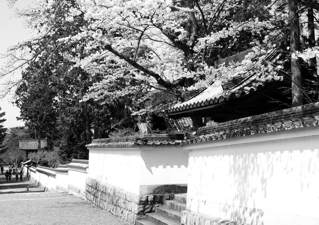 爛漫