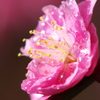 a drop of water
