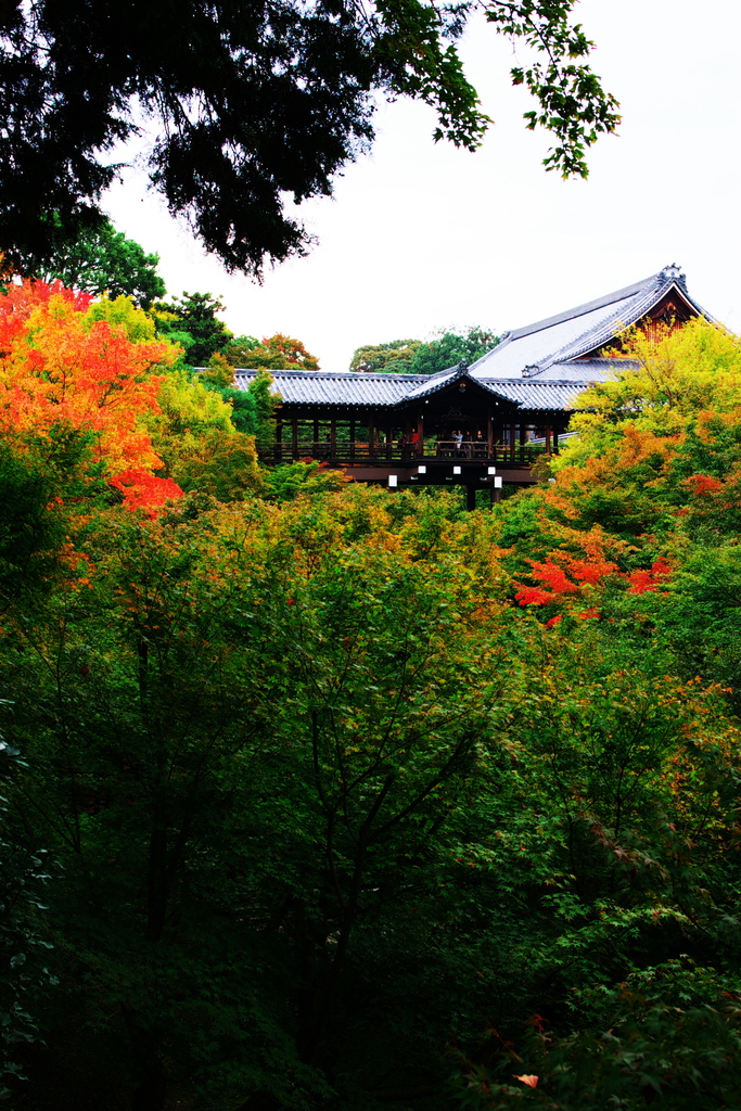 東福寺