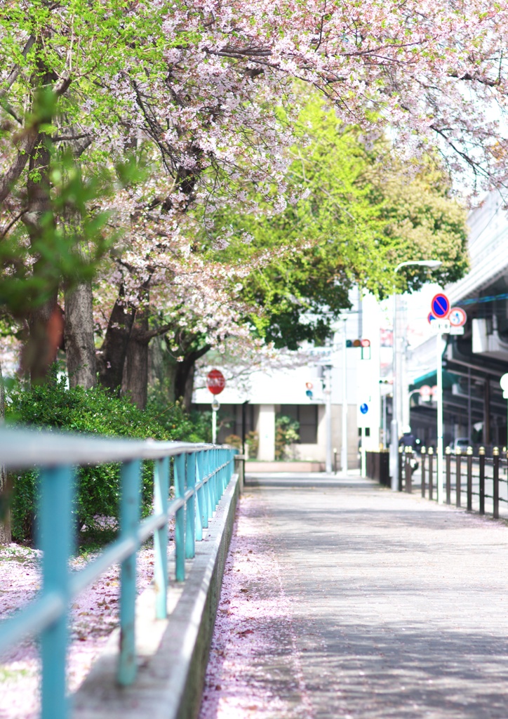 街路