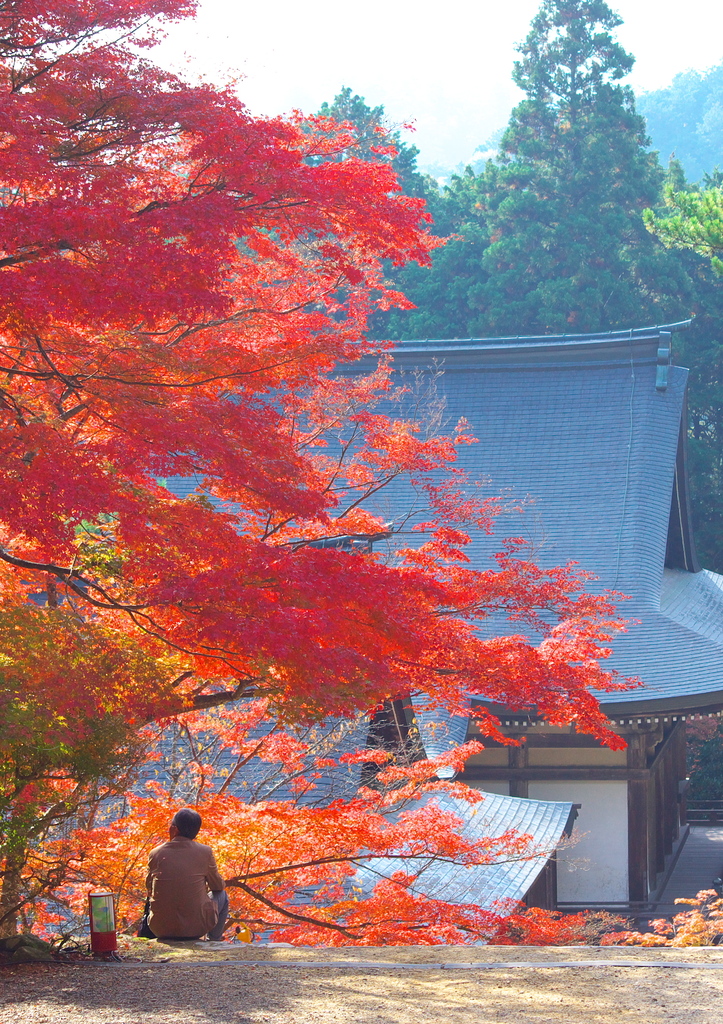 神護寺