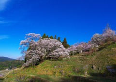 blue sky