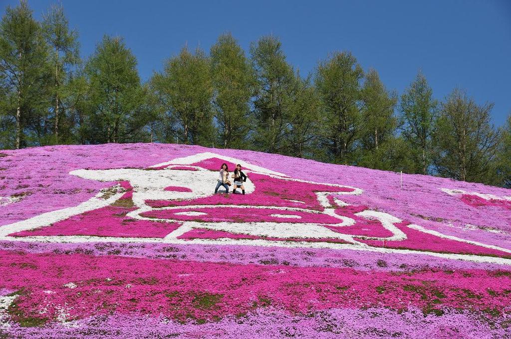 東藻琴芝桜公園３