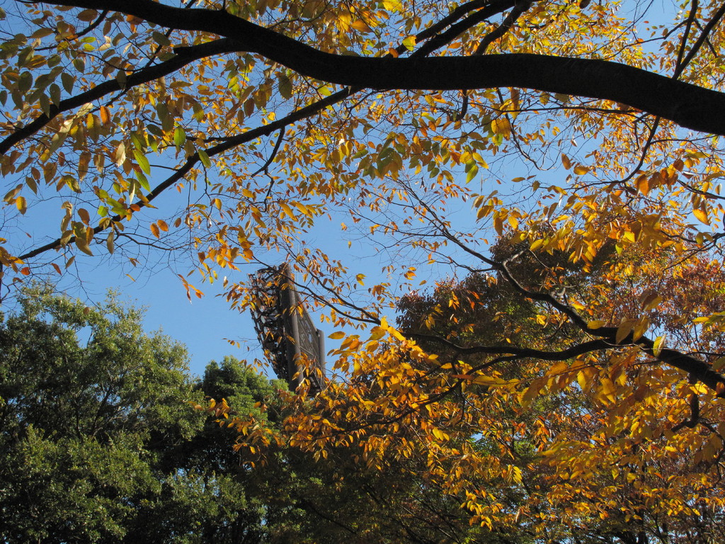 平塚市総合公園03