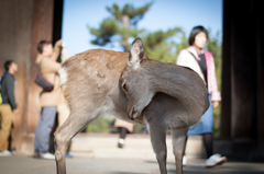 頭で背中を掻く？