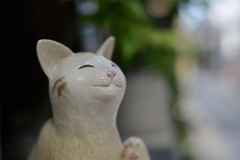 ならまちのねこ