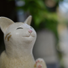 ならまちのねこ