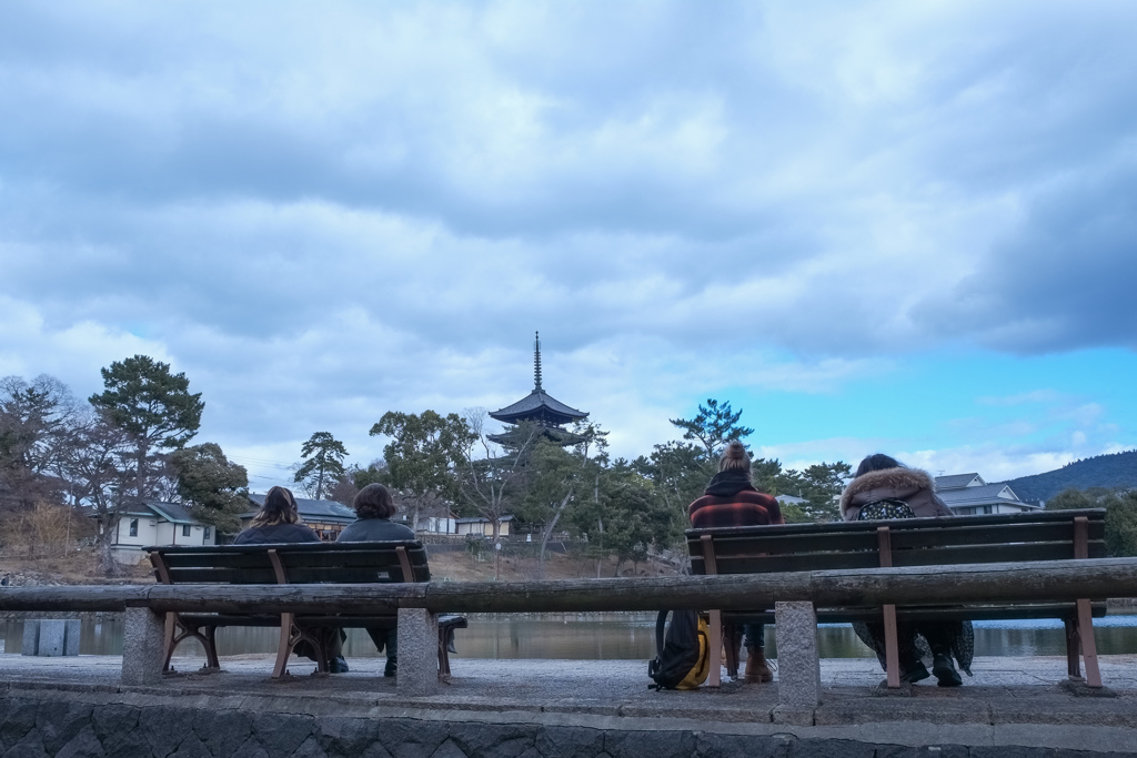奈良公園　猿沢池にて
