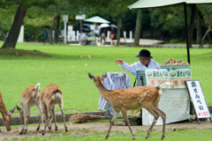 ちょっとだけやで・・・