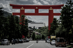鳥居を独り占め
