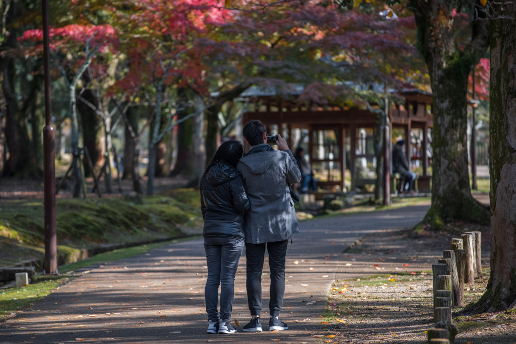 奈良公園の紅葉⑩