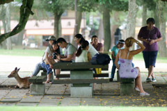 それぞれの・・・