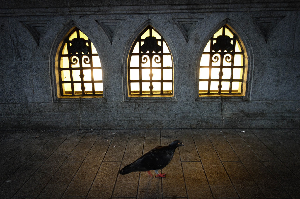 道頓堀のハリーポッター？