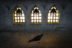 道頓堀のハリーポッター？