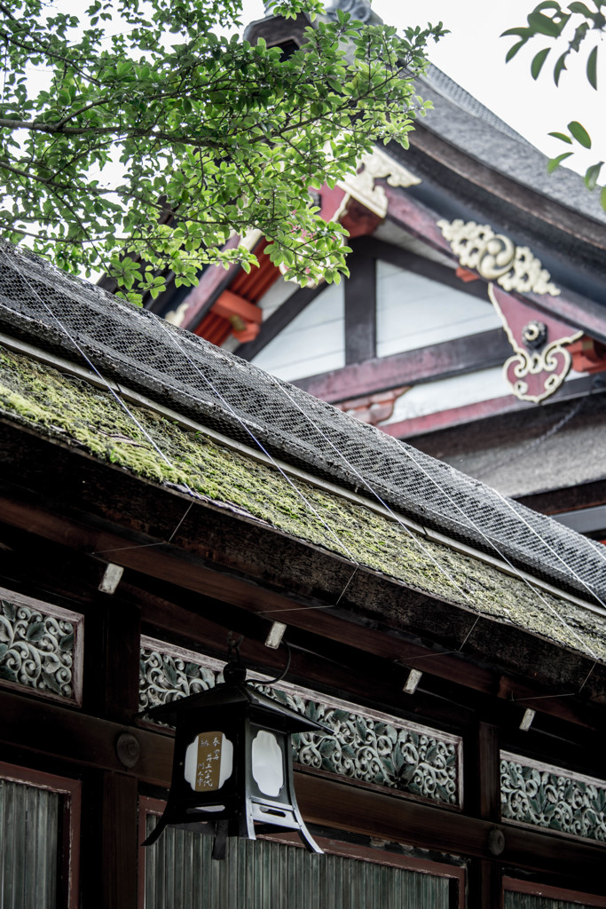 八坂神社の風景③
