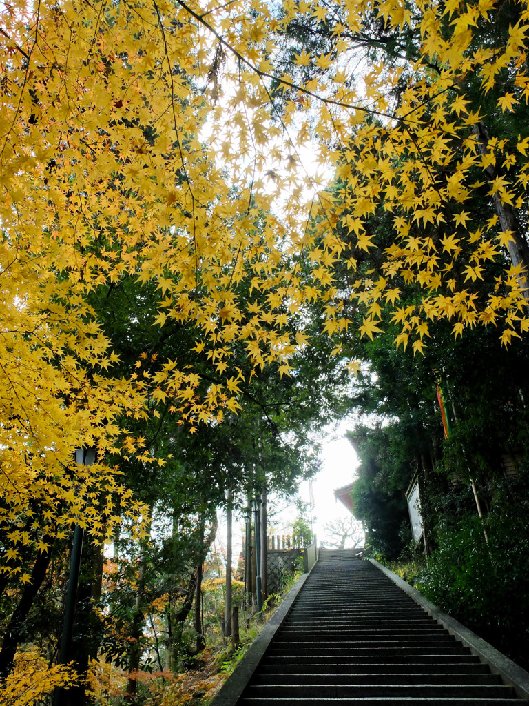 大和郡山　松尾寺にて①