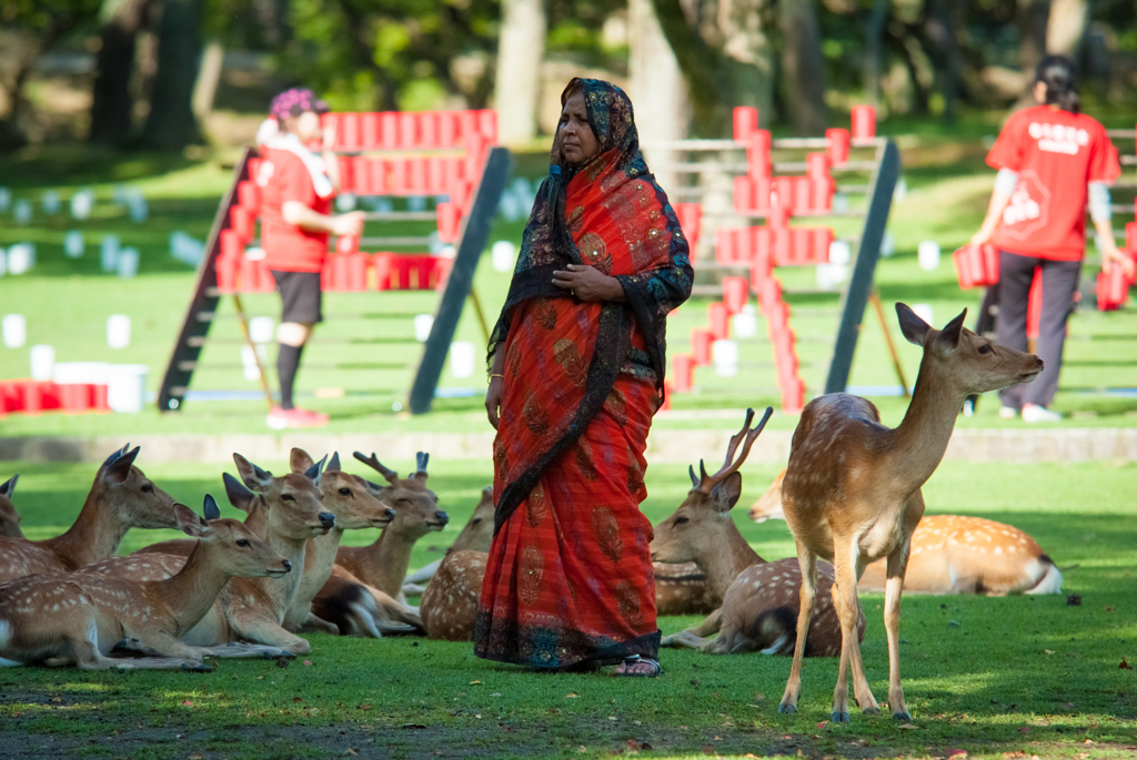 ここって日本だよね？