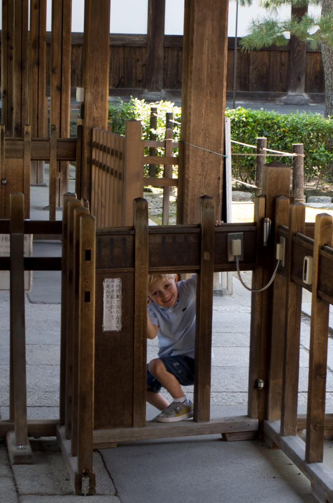 はずかしがり屋さん