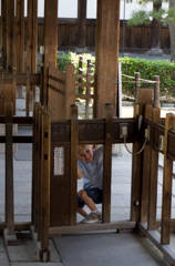 はずかしがり屋さん