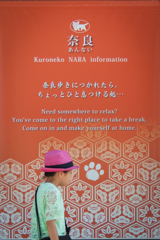 Kuroneko クロネコ？