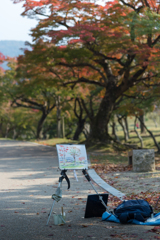 奈良公園の紅葉③