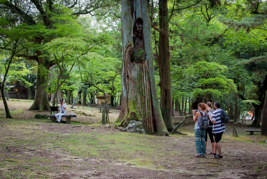二胡を弾くひと