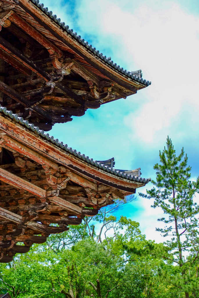 東大寺南大門