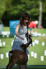 鹿になってみたいね・・・