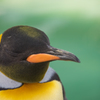 天王寺動物園①
