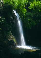白藤の滝（三重県）
