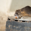 天王寺動物園②